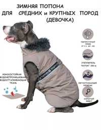 Одежда для собак среднего размера