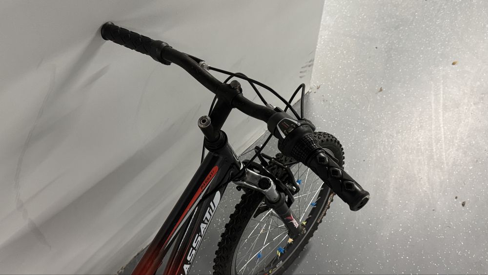 Уникален Детски Велосипед PASSATI Bora – В Отлично Състояние!