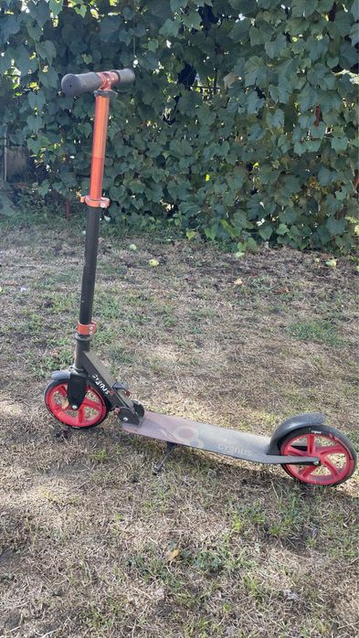 Tritineta adolescenti/adulti