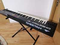 CHEETAH MASTERSERIES-770 sintetizator orga pian