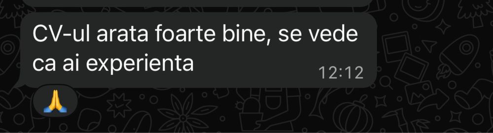 Servicii: redactare CV, optimizare profil profesional, consiliere