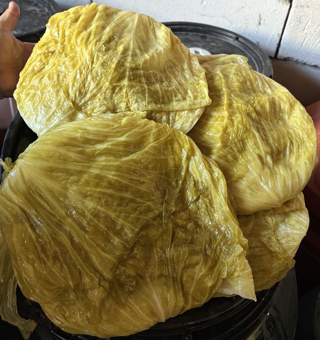 varza murata castraveti murati