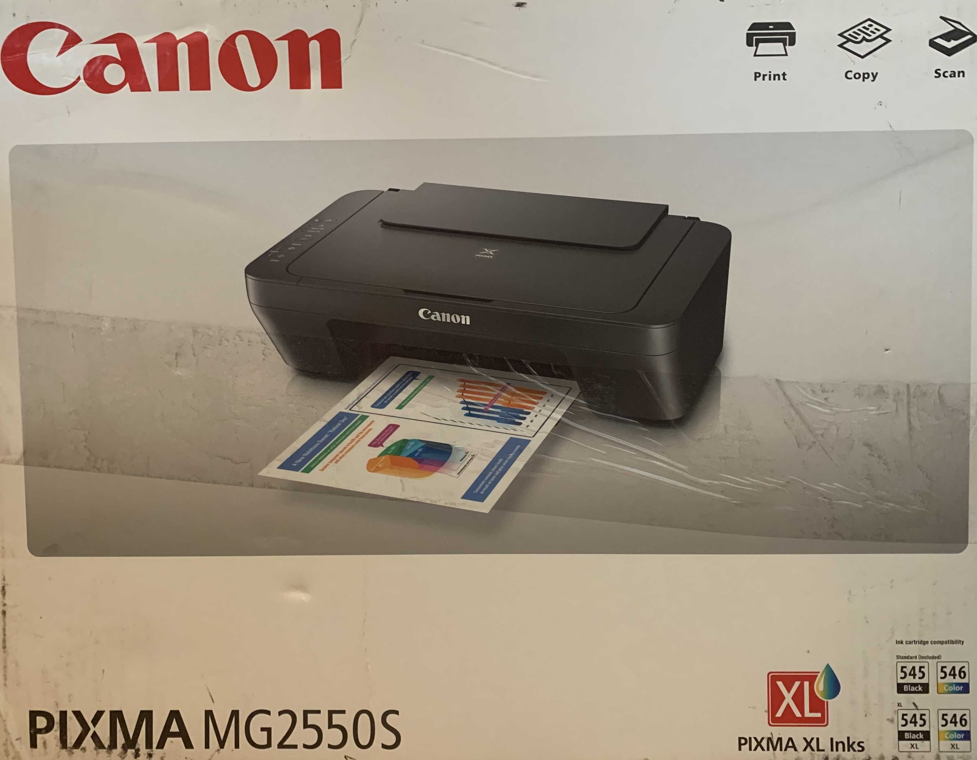 Printer Canon Pixma MG2550S