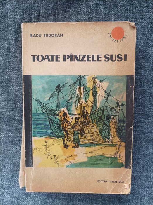 Toate Panzele Sus, Radu Tudoran, carte