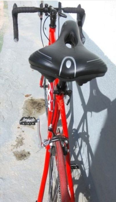 Toza germanskiy gonchik