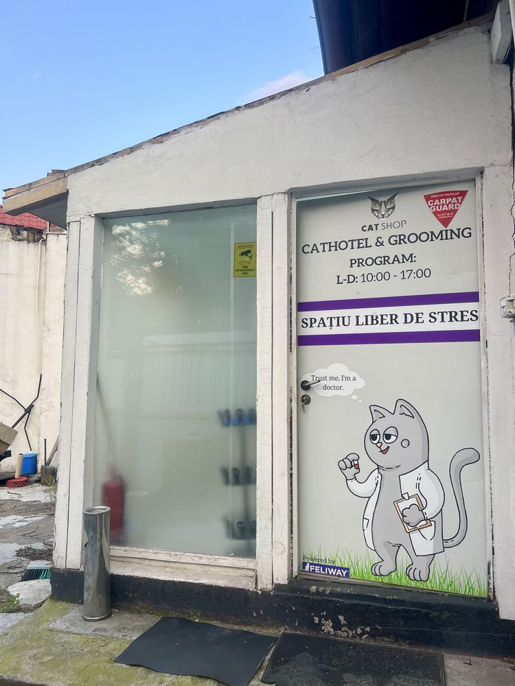 Inchiriere casa 3 camere pentru activitati comerciale