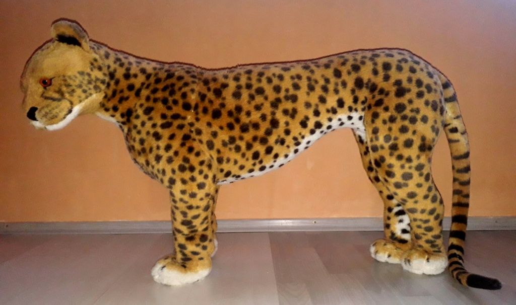 Гепард. 170-60 см.
