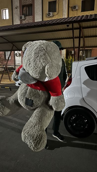 Teddy ayiqcha Тедди мишка