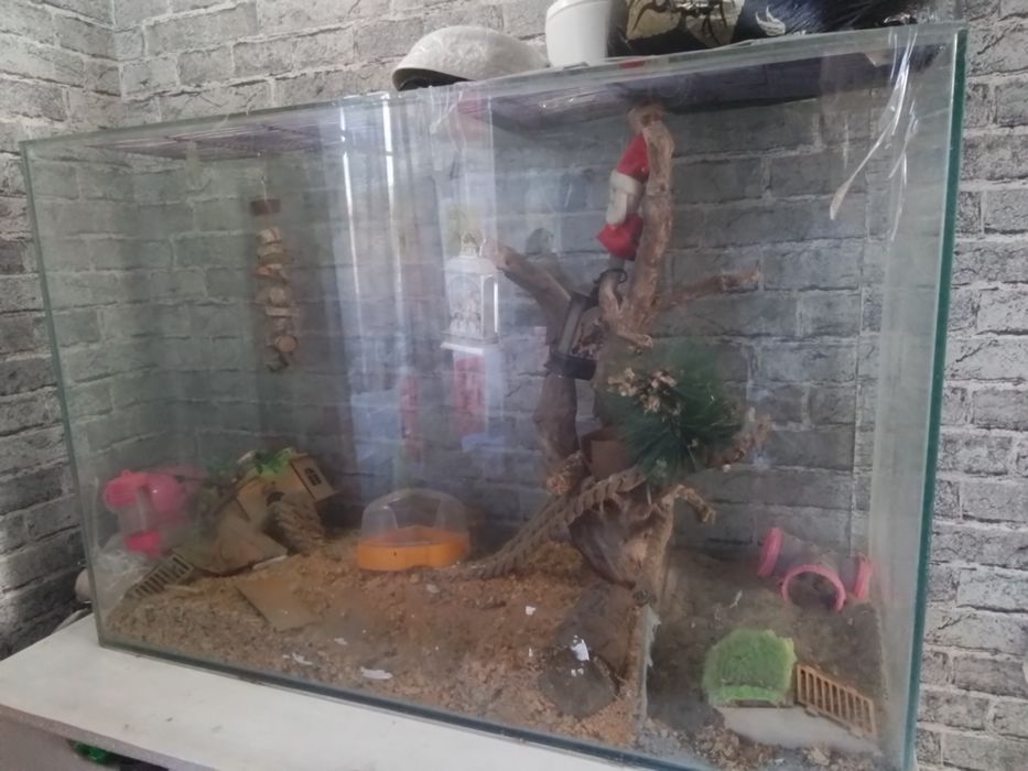 Аквариум большой