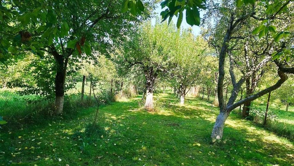 Vand Casa si Teren in Comanesti