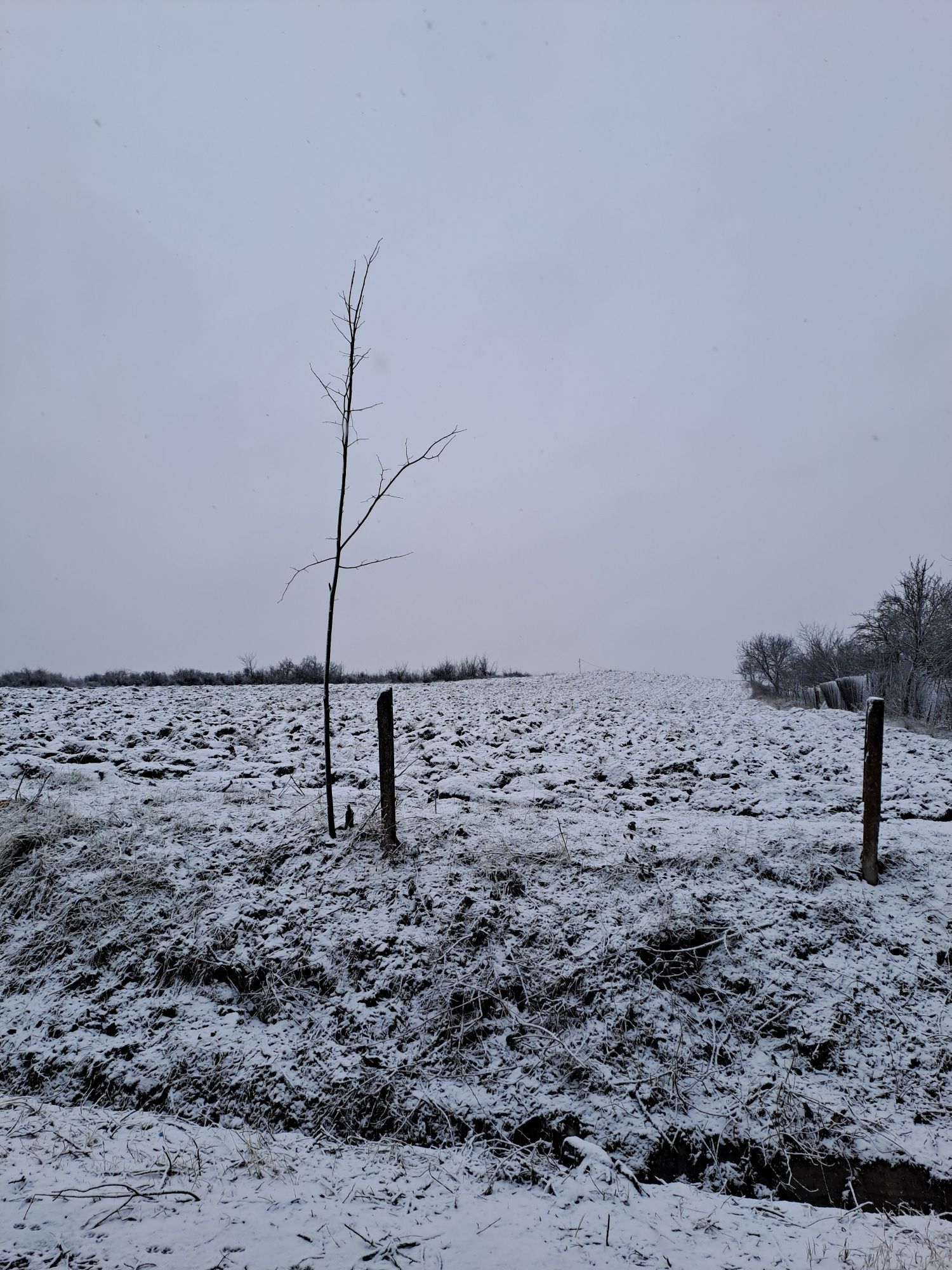 Teren INTRAVILAN,  "" 1 HA ""  ieșirea din com.Borascu an dir. or  STR