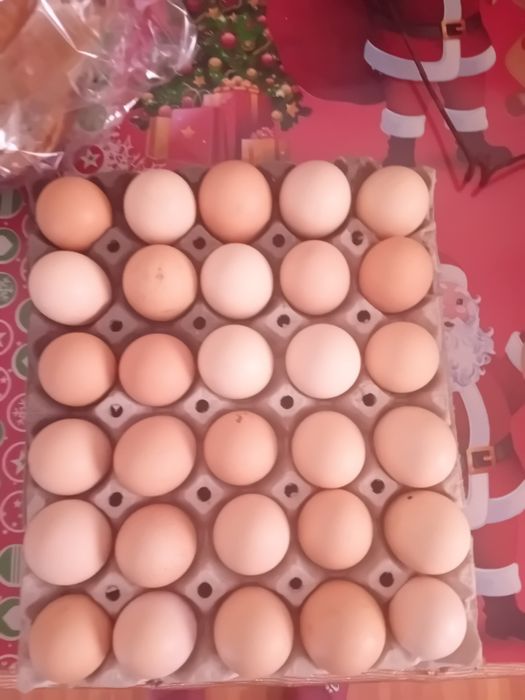 Oua de gaina proapete