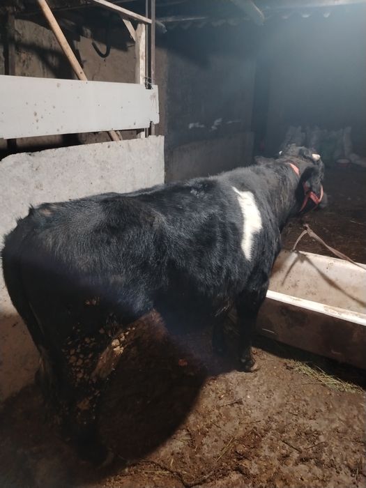 1 yoshar yeb ichshi zo'r