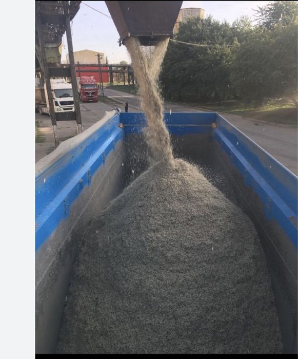 Borhot de Sfecla 2025