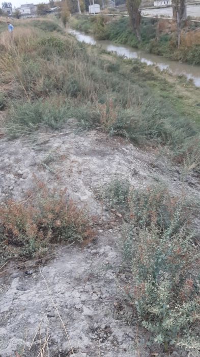 Срочно продаётся Туйтепа Нурафшон 4 5-гектар коммерческие помещения