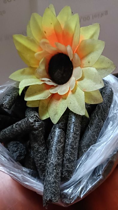 Srot floarea soarelui