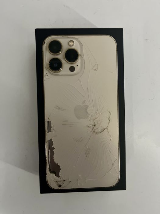 iPhone 13 Pro Max СПУКАН ГРЪБ