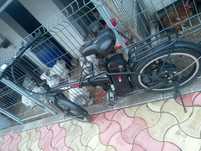 Bicicleta SHIMANO