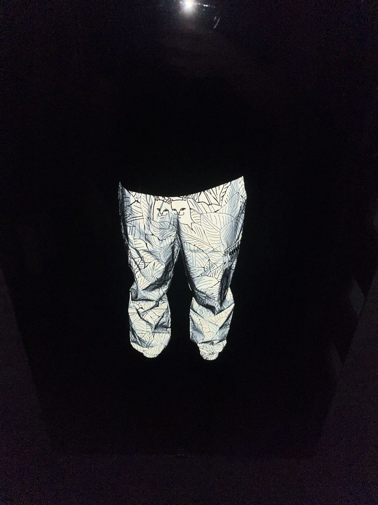 Ripndip cargo reflective pants