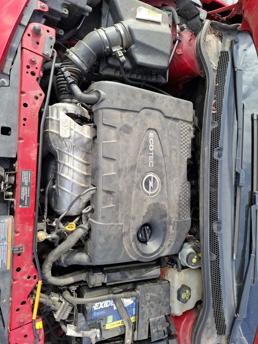 Vand capota, usi,bord Astra J