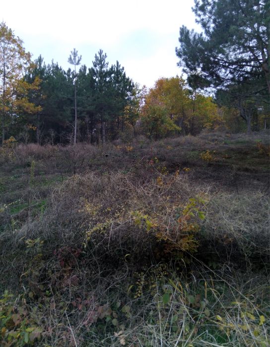 Продава парцел в гр.Кюстендил,Хисарлъка