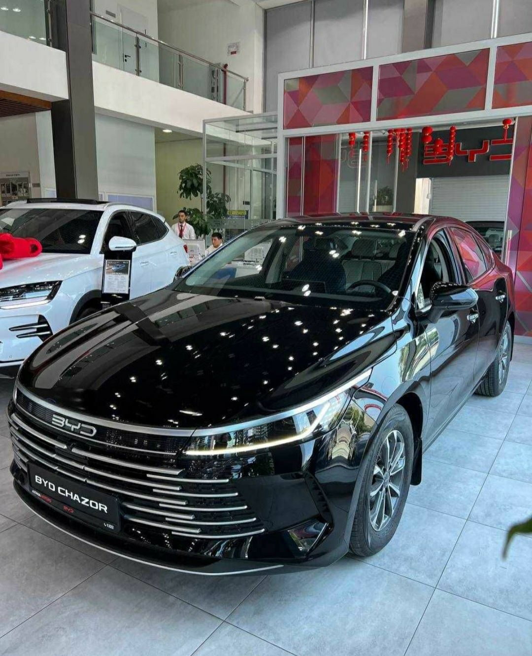 Byd chazor 2024. Позиция 2. Люк. 55 км ток.