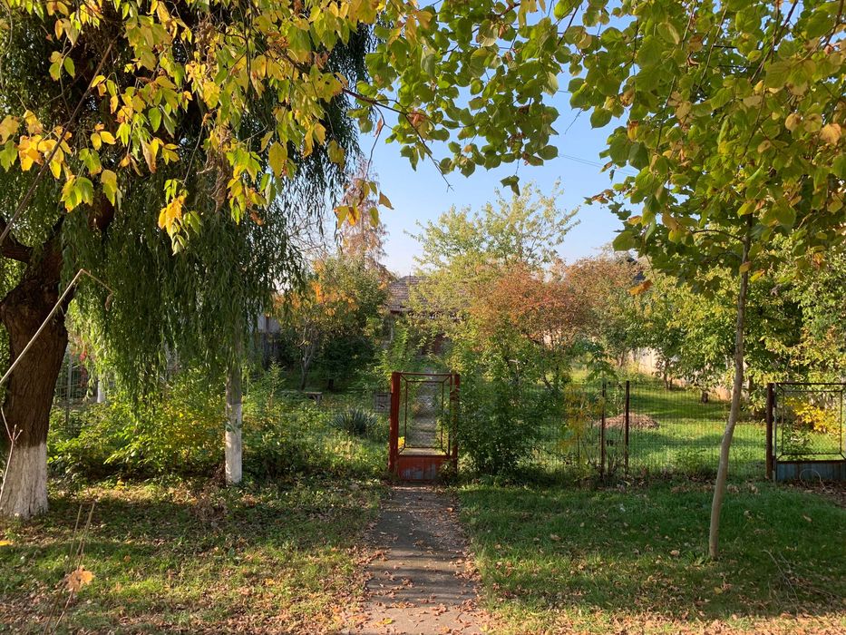 Inchiriere Teren - Buftea central