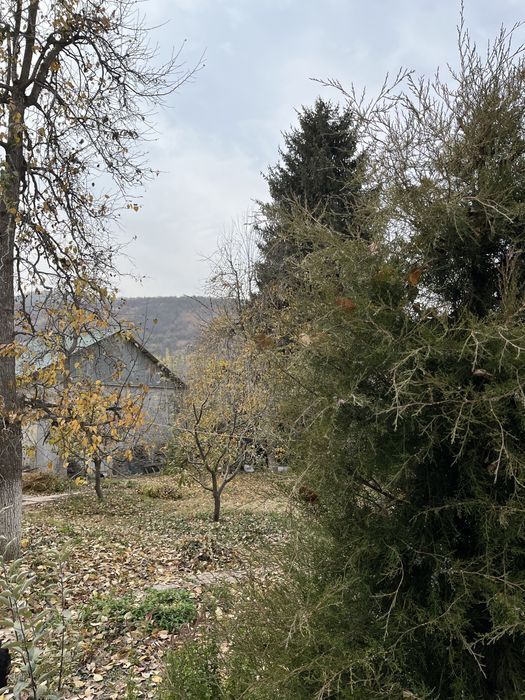 Дом Дача с бассейном в +Чимгане с участком 10,2 соток