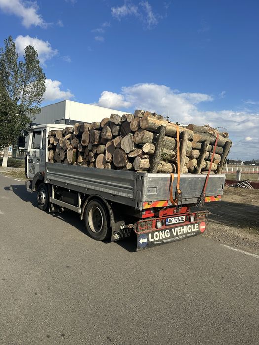 Lemne de foc esenta tare