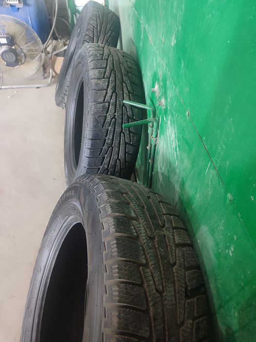 Шины Nokian Ikon