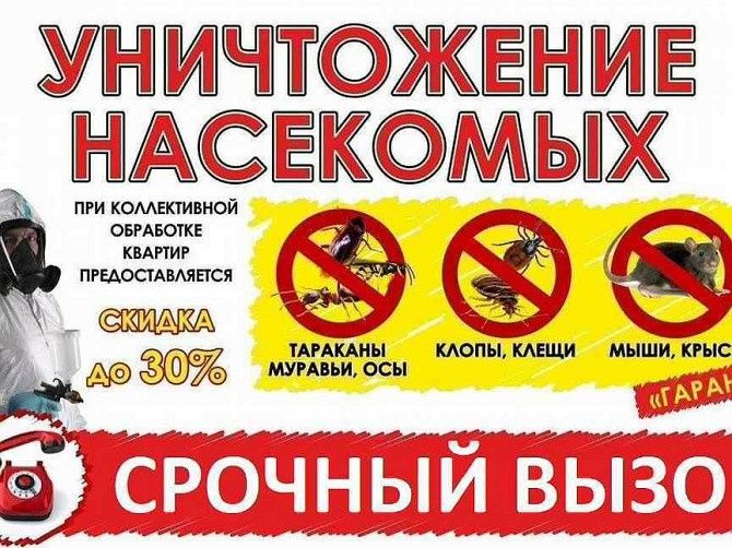 Дезинфекция клапов клопов Уничтажение тараканов