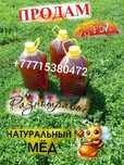 Продам мед разнотравье 2025.