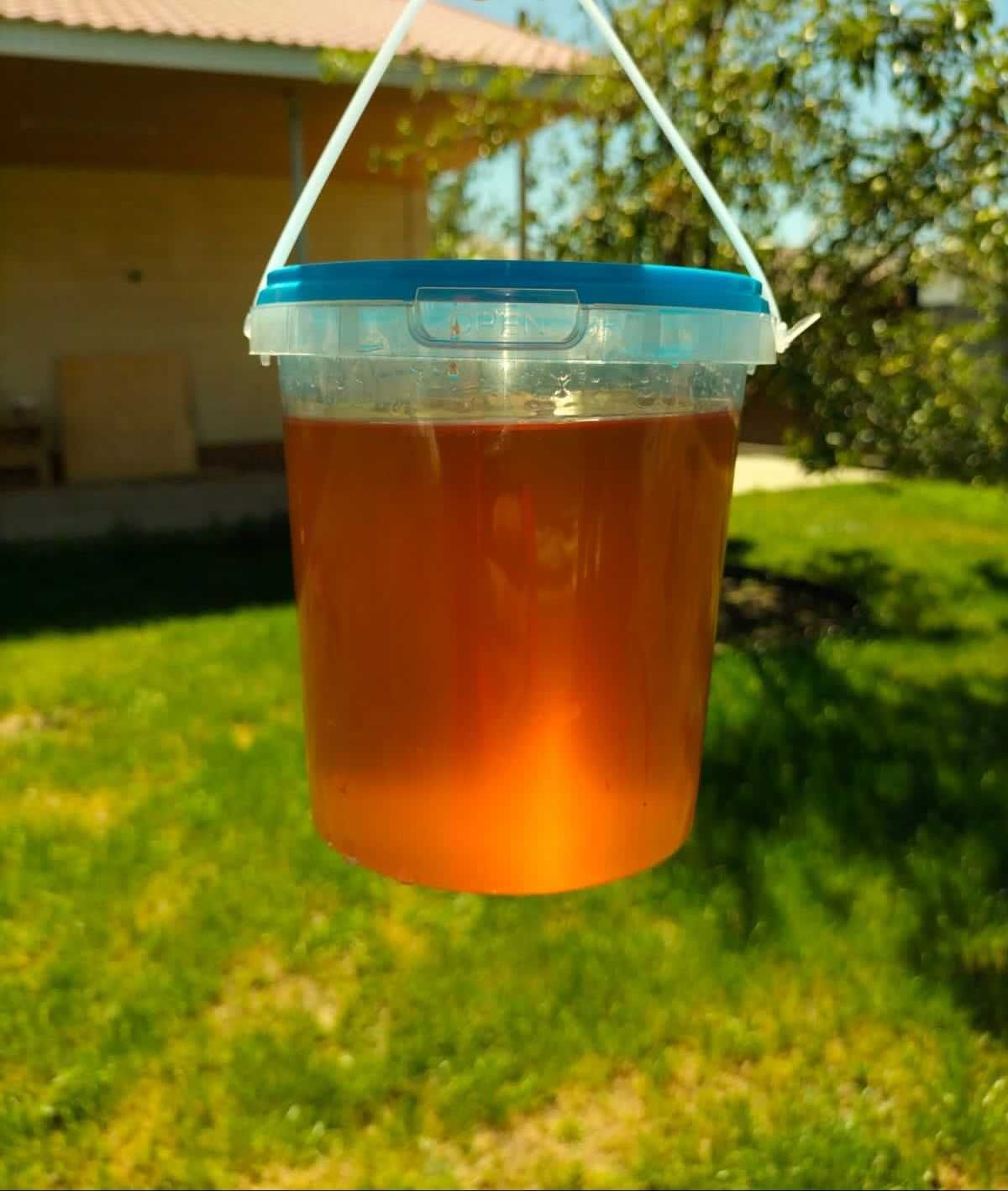 Мёд Натуральный Качественный с ВКО
Цветочный
Разнотравье
Лесной