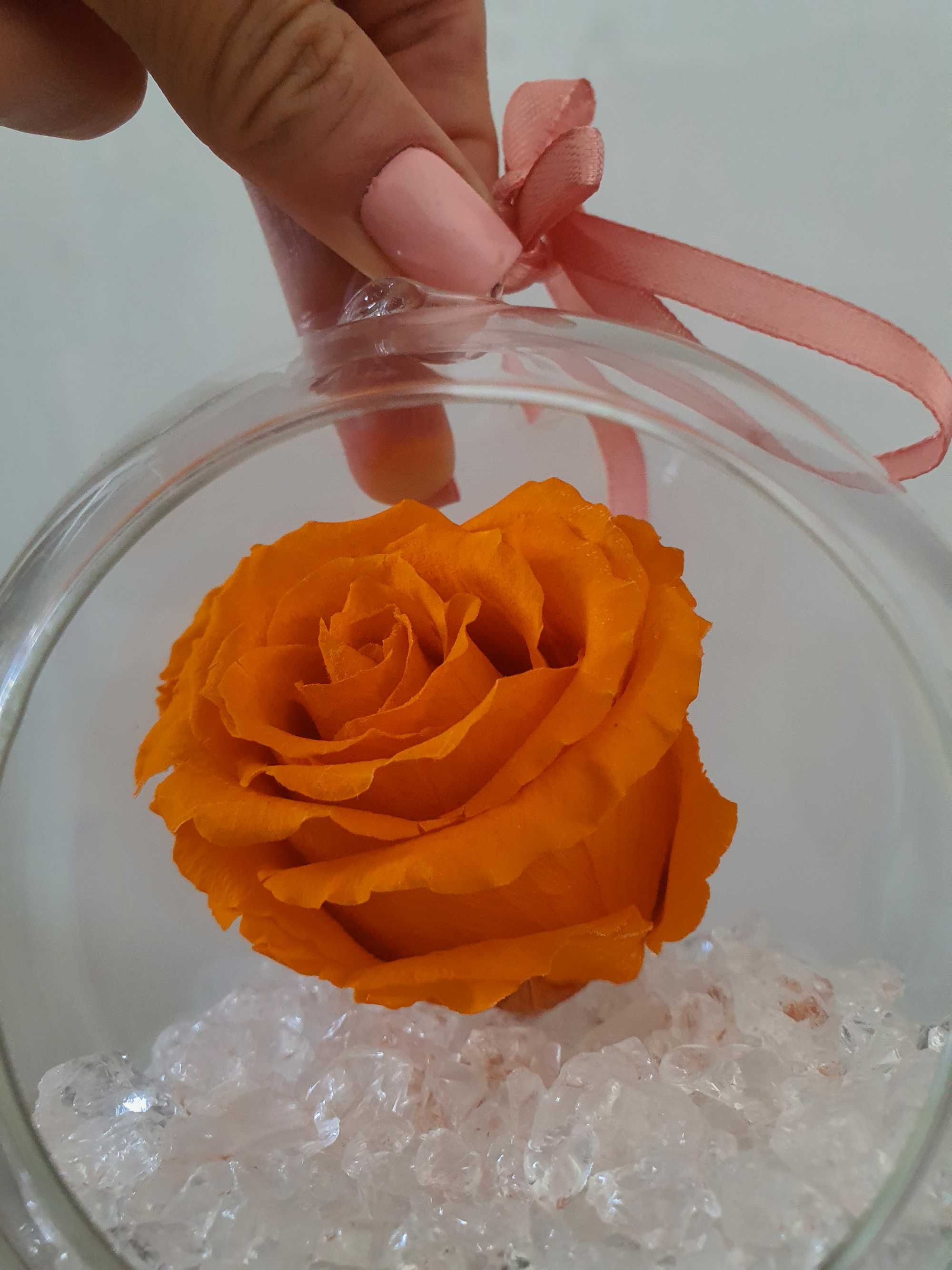 Trandafiri Criogenat + suport sticla