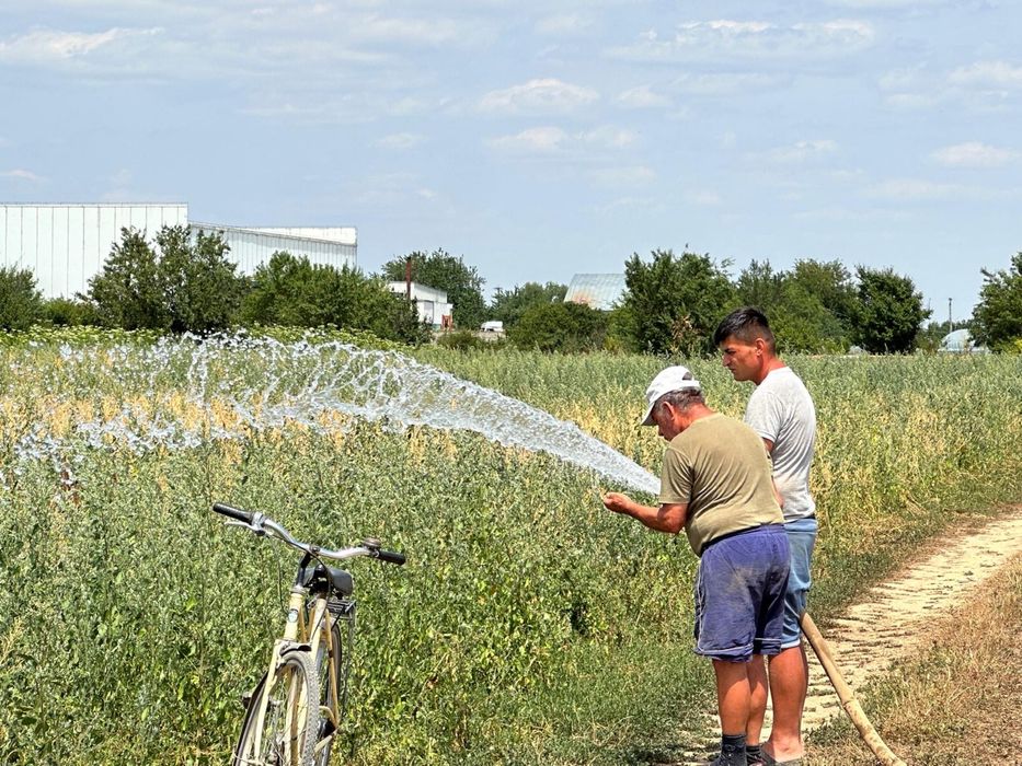 Foraje puturi mecanizate denisipari puturi apa
