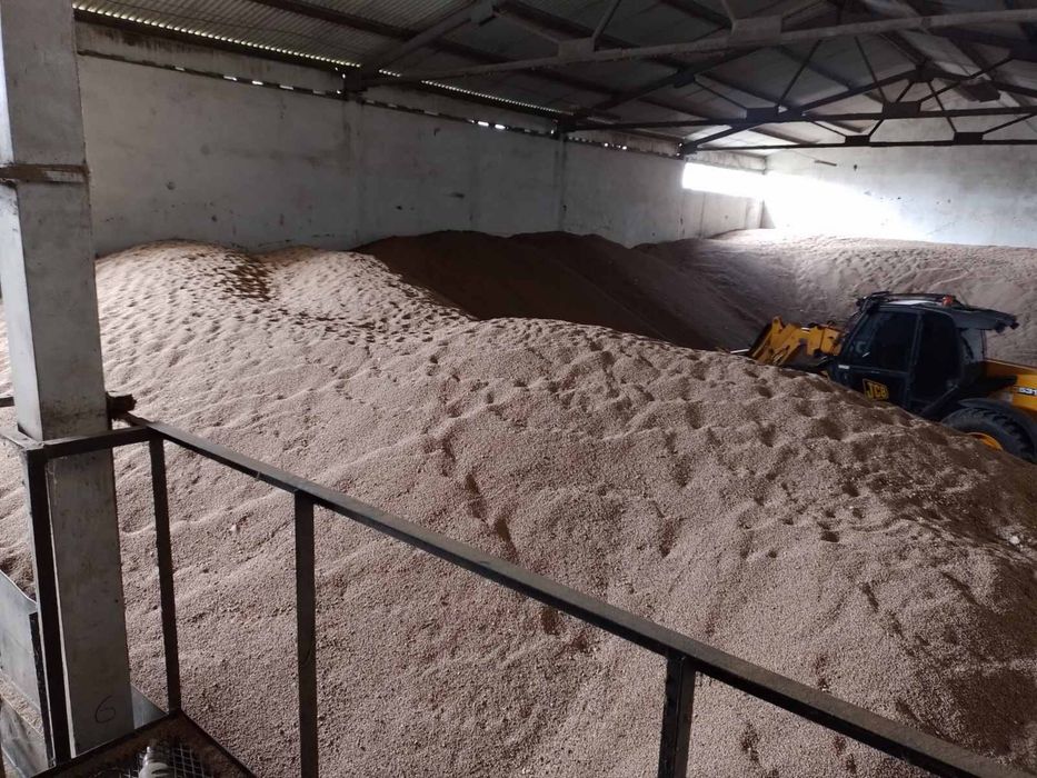 Продавам заготвен кориандър и семена