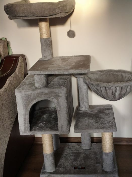 Ansamblu joaca pisici