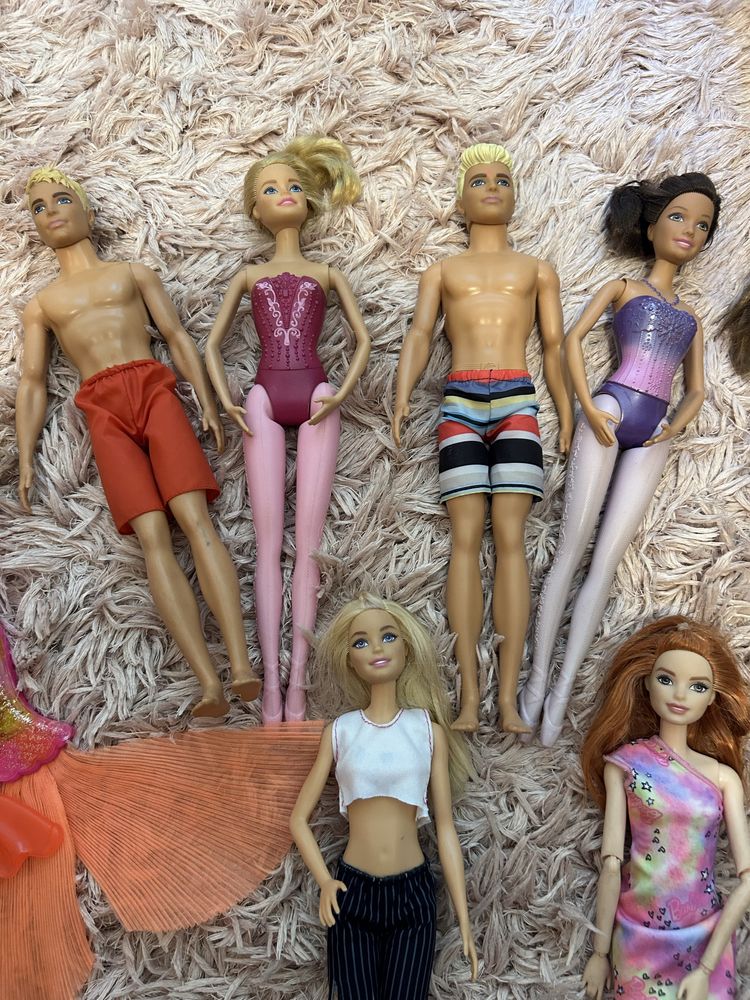 Papusi Barbie, Ken
