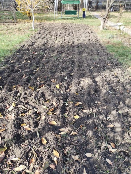 Motosapă Ruris - SH