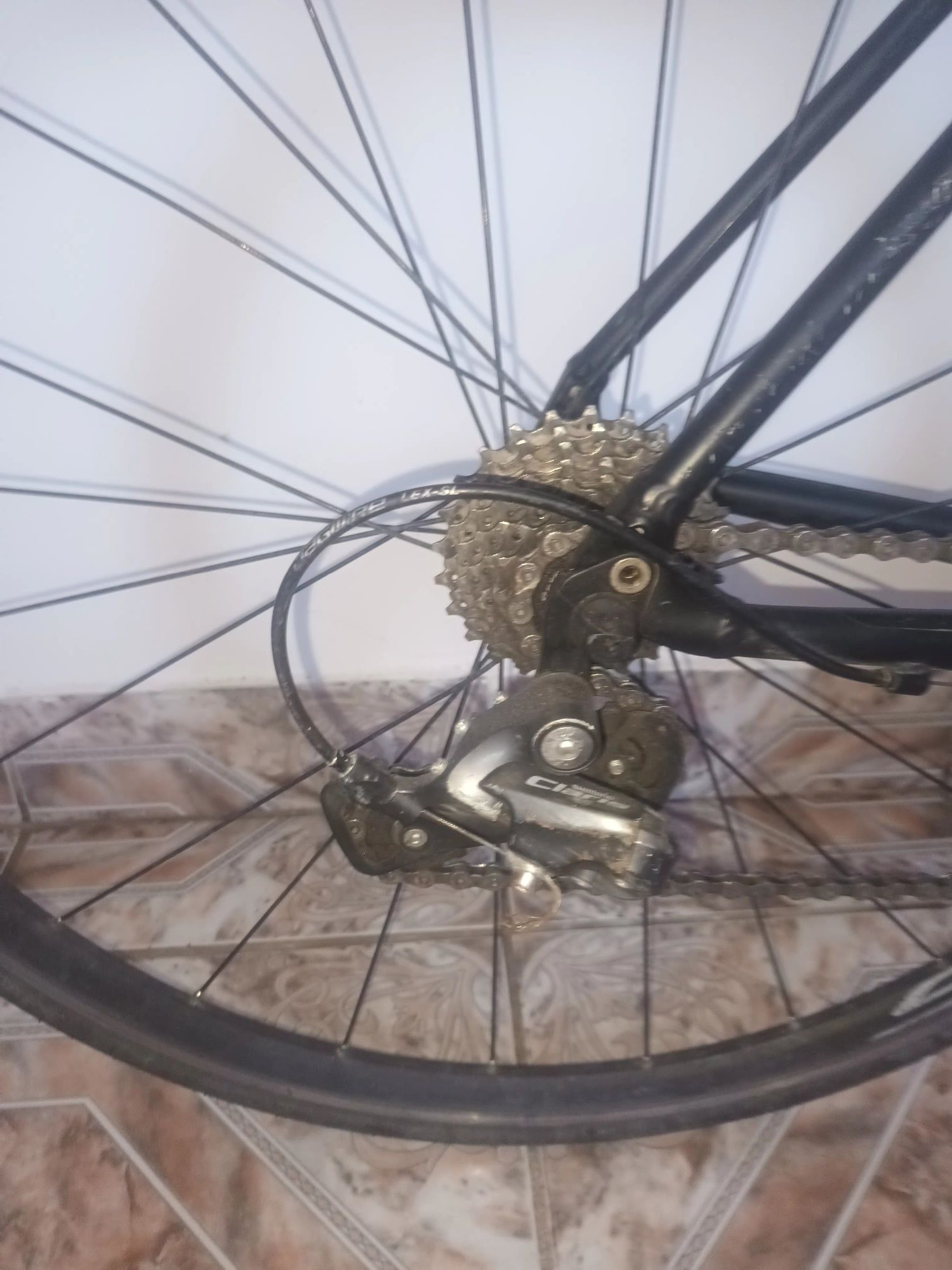 Bicicleta Profesionala