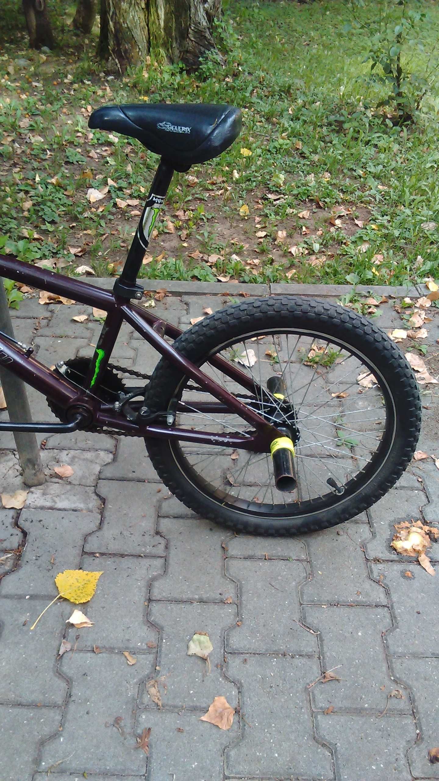 BMX  dragon fly technology