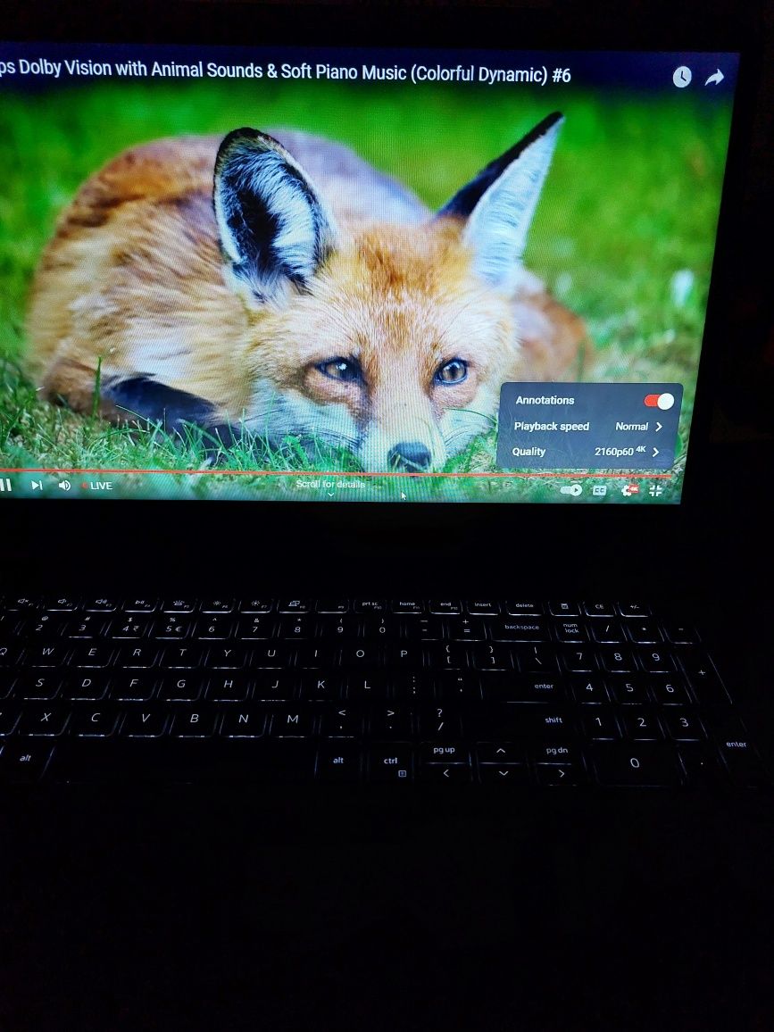 Laptop Gaming Dell vostro i3