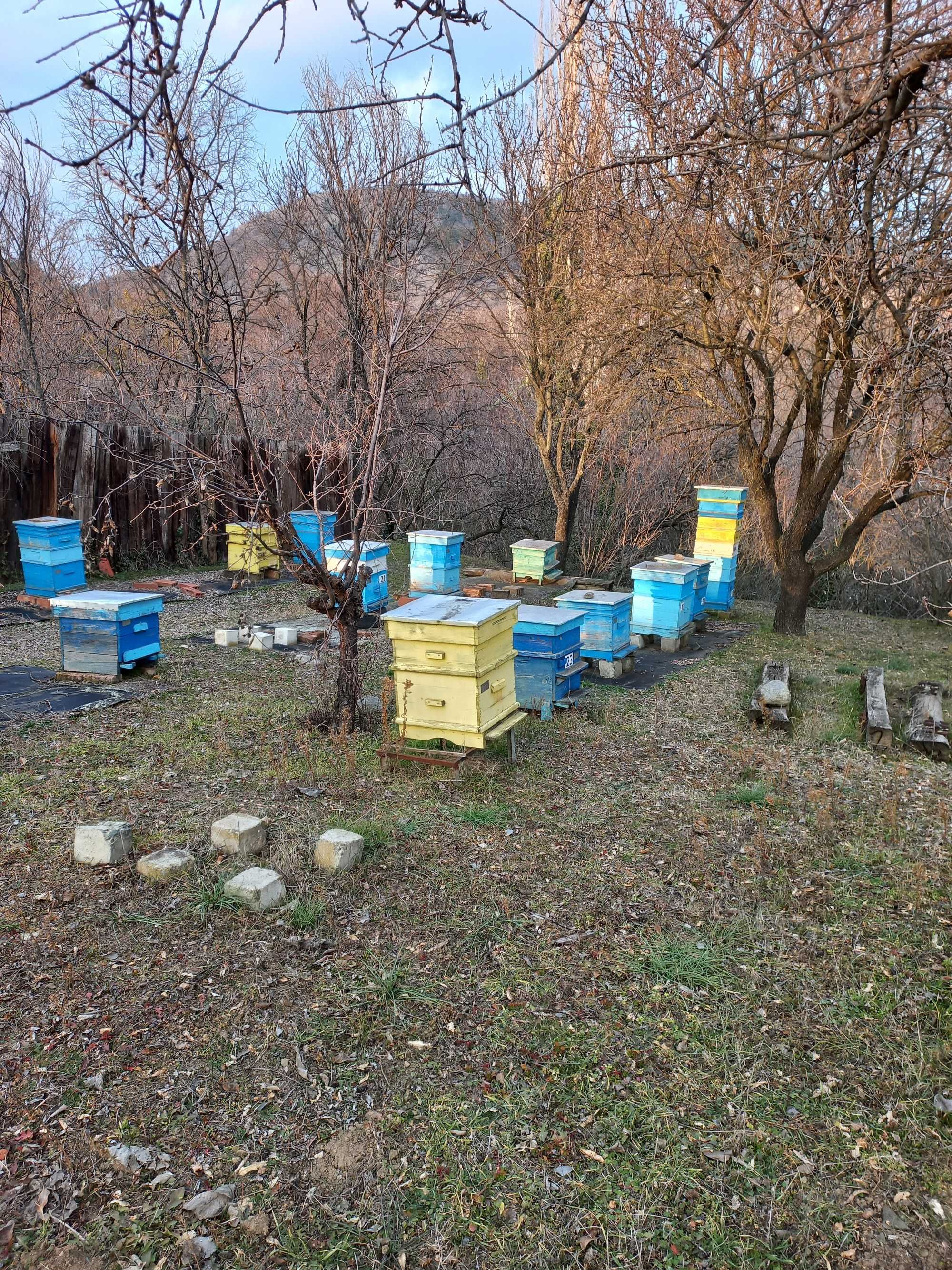 кошери с магазини дадан блат 10 рамкови