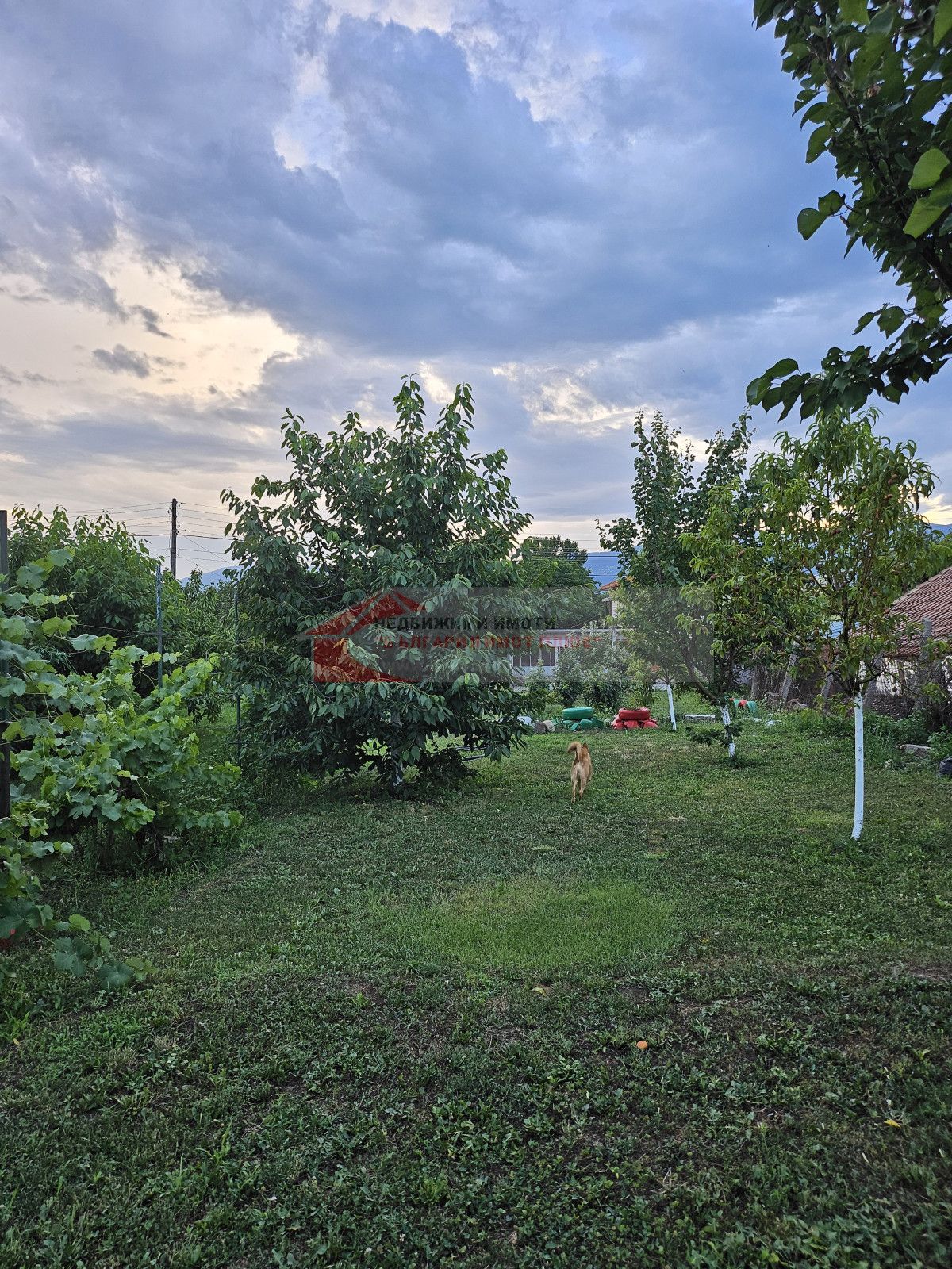 Продажба Къща гр. Кюстендил - с. Скриняно 180m²