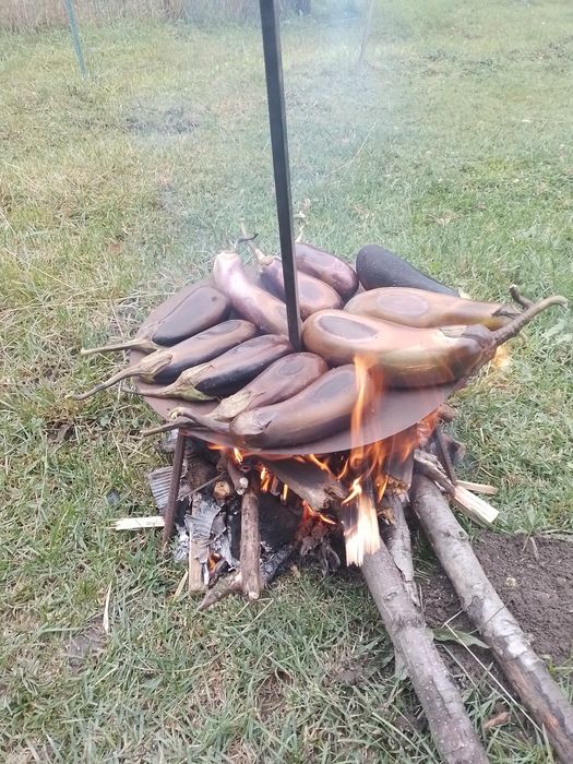 Vand gratar din taler de disc agricol nou cu stanta