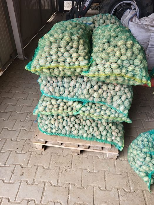 Vând cartofi pentru animale