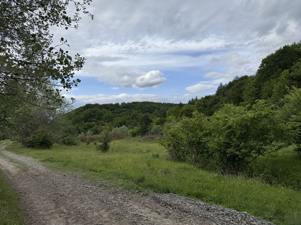 4600 mp Budesti priveliste panoramica asupra orasului Valcea 12500 €