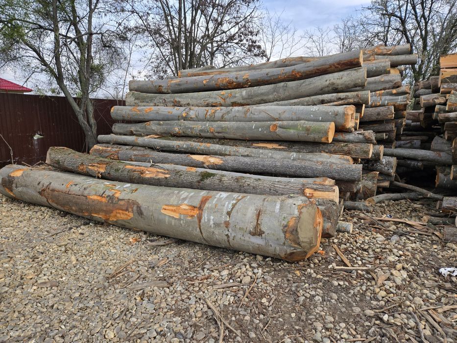 Lemn de foc/ carbuni lignit