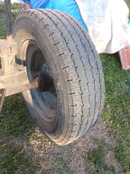 De vânzare 2 butuci!