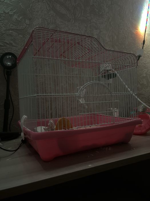 Продам клетку для хомяка , не большая